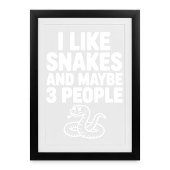 I Like Snakes and Maybe 3 People - Framed poster (27 × 37 cm) - black - Front