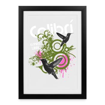 Liberté Colibris Urbains - Affiche encadrée (27 × 37 cm) - noir - Devant