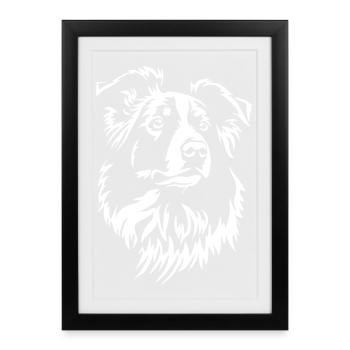Border Collie Kopf "Black Edition" - Gerahmtes Poster (27 × 37 cm) - Schwarz - Vorne