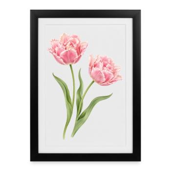 Motif floral de tulipes perroquets roses - Affiche encadrée (27 × 37 cm) - noir - Devant