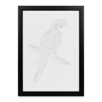 Silhouette de perroquet sur une branche - Affiche encadrée (27 × 37 cm) - noir - Devant