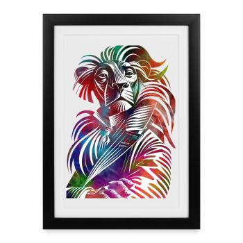 La Symphonie des Couleurs du Lion - Affiche encadrée (27 × 37 cm) - noir - Devant