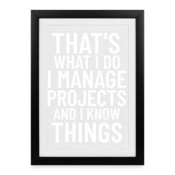 Funny Project Manager Supervisor Coordinator - Framed poster (27 × 37 cm) - black - Front