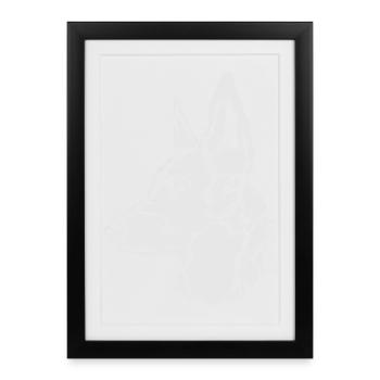Malinois , Berger Belge Holland Herder - Affiche encadrée (27 × 37 cm) - noir - Devant
