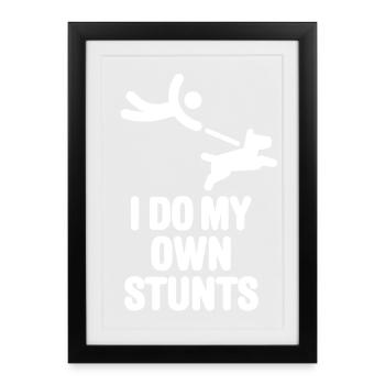 Chien promener drôle chien Je fais mes propres cascades - Affiche encadrée (27 × 37 cm) - noir - Devant