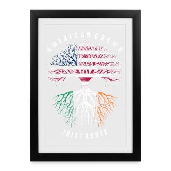 Crâne des racines irlandaises américaines - Affiche encadrée (27 × 37 cm) - noir - Devant
