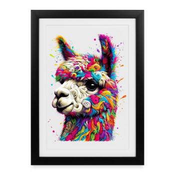 Alpaga - Affiche encadrée (27 × 37 cm) - noir - Devant