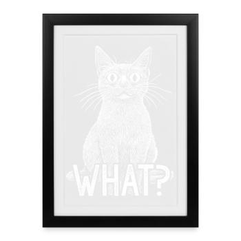 Chat Quoi Chat Blanc Drôle Avec Un Regard D’Horreur Intense - Affiche encadrée (27 × 37 cm) - noir - Devant