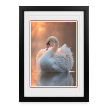 Swans Swan - Framed poster (27 × 37 cm) - black - Front