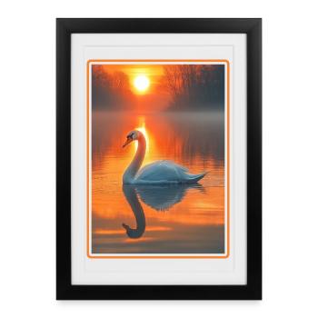 Swans Swan - Framed poster (27 × 37 cm) - black - Front