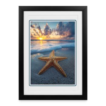 Étoile de mer Étoile de mer - Affiche encadrée (27 × 37 cm) - noir - Devant