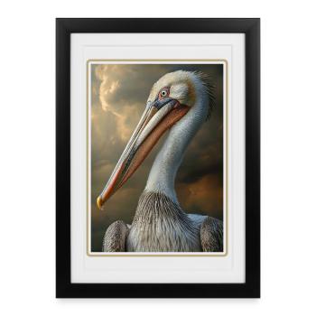 Pelicans Pelican - Framed poster (27 × 37 cm) - black - Front