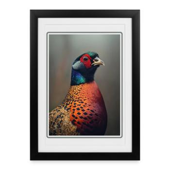 Faisans Faisan - Affiche encadrée (27 × 37 cm) - noir - Devant