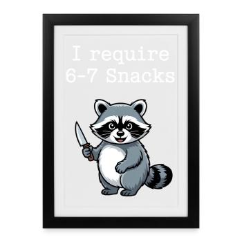 6-7 Refroidisseur de mèmes Internet 6 7 Raton laveur - Affiche encadrée (27 × 37 cm) - noir - Devant