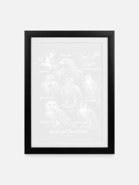 Greifvögel Deutschlands Vogeldesign - Gerahmtes Poster (27 × 37 cm) - Schwarz