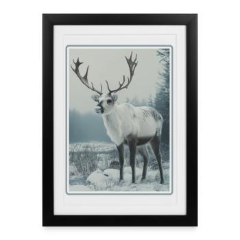 Renne Renne - Affiche encadrée (27 × 37 cm) - noir - Devant