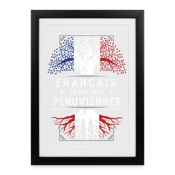 Francais De Racines Peruviennes T-Shirt Cadeau ... - Affiche encadrée (27 × 37 cm) - noir - Devant
