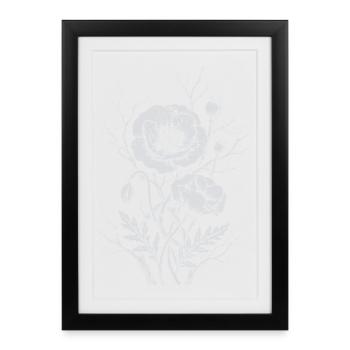 Fleurs de pavot - Affiche encadrée (27 × 37 cm) - noir - Devant