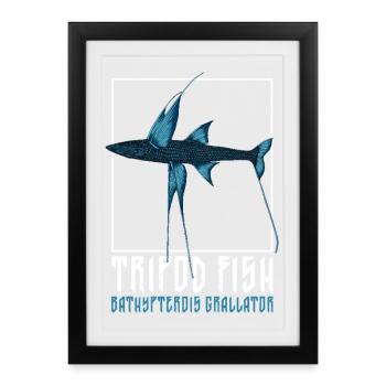 Tiefsee Monster - Dreiflossen-Büschelbarsch - Gerahmtes Poster (27 × 37 cm) - Schwarz - Vorne