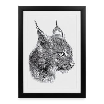 Lynx Cat Freedom Chat sauvage Chat - Affiche encadrée (27 × 37 cm) - noir - Devant
