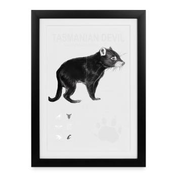 Tasmanian Devil - Framed poster (27 × 37 cm) - black - Front