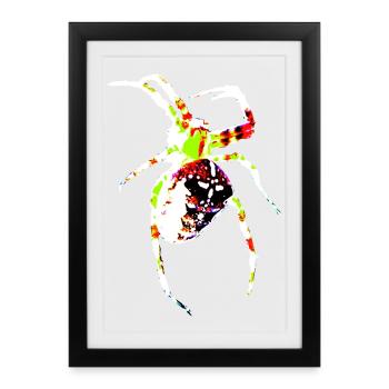 Araignée aux couleurs vives - Affiche encadrée (27 × 37 cm) - noir - Devant