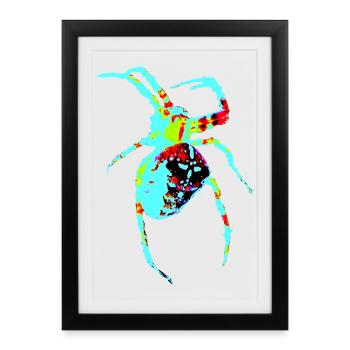 Spider in neon colors - Framed poster (27 × 37 cm) - black - Front