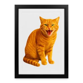 Hissing orange tabby cat - Framed poster (27 × 37 cm) - black - Front