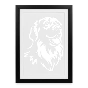 Tête Hovawart « Black Edition » - Affiche encadrée (27 × 37 cm) - noir - Devant
