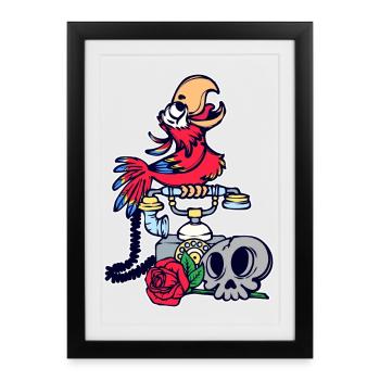 Perroquet, Animal, Oiseau, Afrique, Amoureux Des Oiseaux, Zoo - Affiche encadrée (27 × 37 cm) - noir - Devant