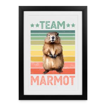 Marmotte - Affiche encadrée (27 × 37 cm) - noir - Devant