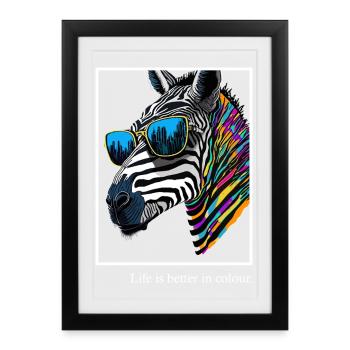 Zèbre arc-en-ciel avec des lunettes - Affiche encadrée (27 × 37 cm) - noir - Devant