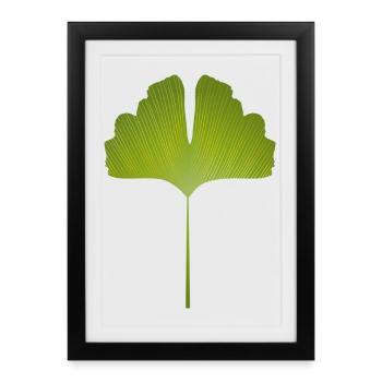 feuille de ginkgo vert juteux avec des lignes lumineuses - Affiche encadrée (27 × 37 cm) - noir - Devant