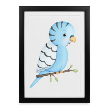 cute budgie bird - Framed poster (27 × 37 cm) - black - Front