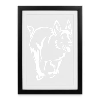 Malinois "Black Edition" - Framed poster (27 × 37 cm) - black - Front