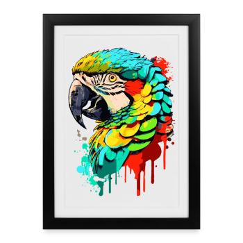 Perroquet coloré - Ara Perroquet - Oiseaux exotiques - Affiche encadrée (27 × 37 cm) - noir - Devant