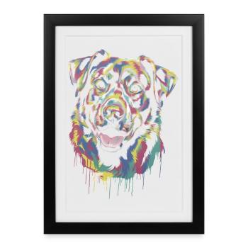 Colorful Dripping Dog - Framed poster (27 × 37 cm) - black - Front
