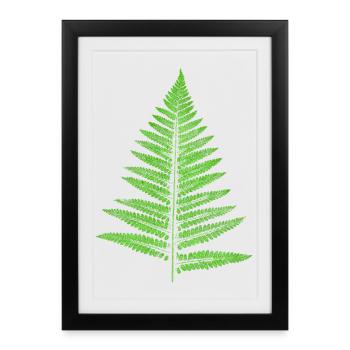 Fougère foliaire - Plantes botaniques - Affiche encadrée (27 × 37 cm) - noir - Devant
