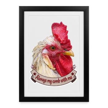 Conception de coq en peigne Magnifique poules coq - Affiche encadrée (27 × 37 cm) - noir - Devant