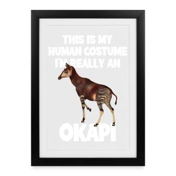 Okapi Zoo Expedition - Framed poster (27 × 37 cm) - black - Front
