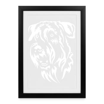 Schnauzer Head « BlackEdition » - Affiche encadrée (27 × 37 cm) - noir - Devant