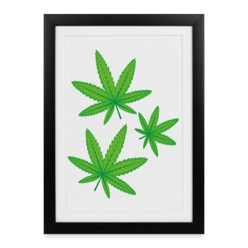 Feuilles de cannabis vertes - Affiche encadrée (27 × 37 cm) - noir - Devant