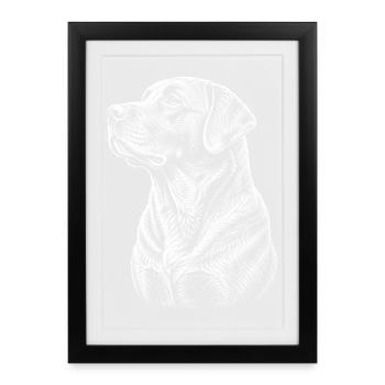 Chemise en dessin de trait de chien portrait Labrador - Affiche encadrée (27 × 37 cm) - noir - Devant