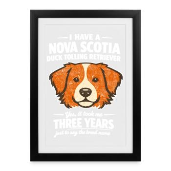 Récit rétro du canard de la Nouvelle-Écosse Tolling Retriever - Affiche encadrée (27 × 37 cm) - noir - Devant