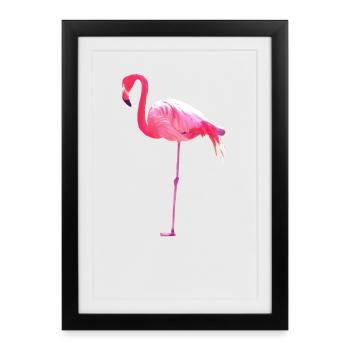 Pink Flamingo - Affiche encadrée (27 × 37 cm) - noir - Devant