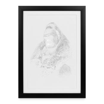 Gorilla - Affiche encadrée (27 × 37 cm) - noir - Devant