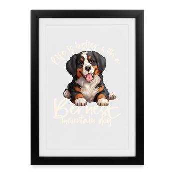 Bernese mountain dog - Framed poster (27 × 37 cm) - black - Front