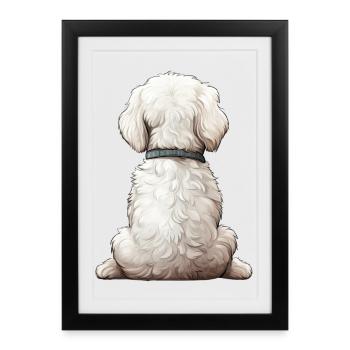 Bichon Frize - Affiche encadrée (27 × 37 cm) - noir - Devant