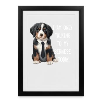 Bernese mountain dog - Framed poster (27 × 37 cm) - black - Front