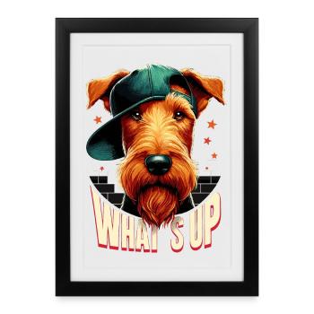 Irish Terrier Que se passe-t-il cadeau de chien gangsta - Affiche encadrée (27 × 37 cm) - noir - Devant